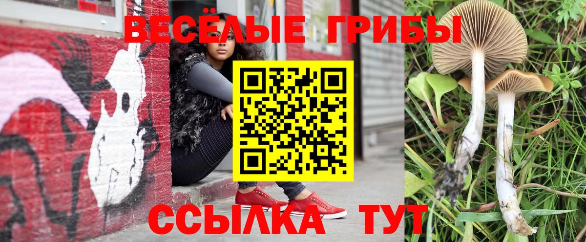 Галлюциногенные грибы GOLDEN TEACHER  Галлюциногенные грибы MAGIC MUSHROOMS  Нововоронеж  Вход с VPN 