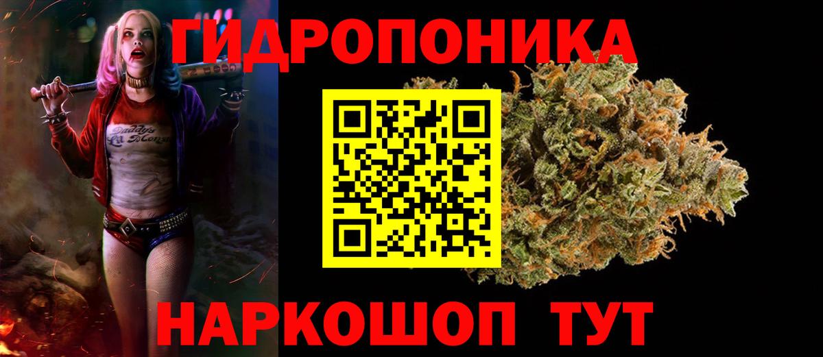 Бошки марихуана ГИДРОПОН  Канабис семена  Нововоронеж  Вход с VPN  Бошки Шишки MAZAR 